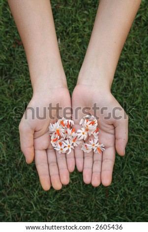 Hands holding flowers with green grass background