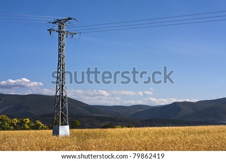Power lines on a field of wheat