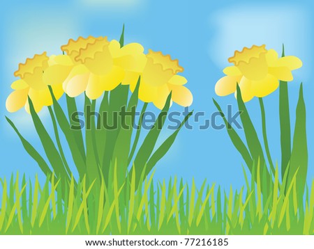 Light Blue Daffodil