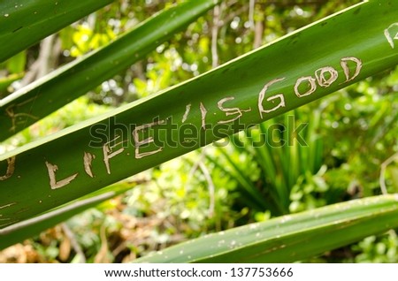 the words Life is Good scratched into a plant on The Road To Hana is Maui.