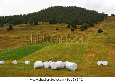 Neat stacks of hay wrapped in lovely mountain meadows. Switzerland, Alps