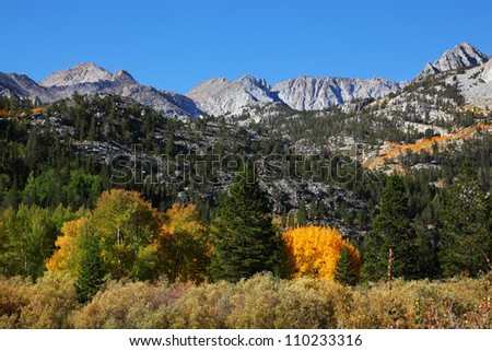 Magnificent multicolored autumn in the mountains of California. Noon, yellow, green and orange colors of mountain plants