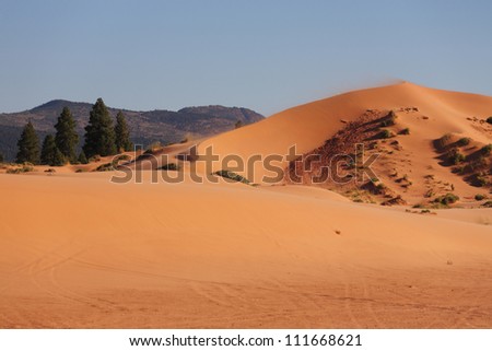 Reserve Coral sand dunes in the U.S.. The orange glow of the sand in the sun