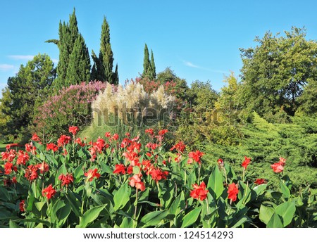 Fabulously beautiful park in Italy. A huge bed of red flowers side by side with decorative reeds and slender cypress trees