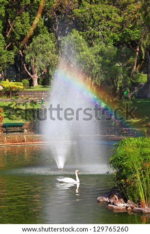 Magnificent park at the resort. The lake with a fountain and the white swans around. At the water fountain jets shining magnificent rainbow