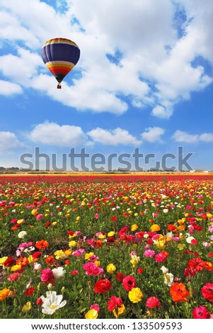 Over the blossoming field of flying a balloon. A lot of lovely blooming flowers and shining clouds.