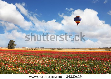 A lot of lovely blooming flowers and shining clouds. Over the blossoming field of flying a balloon