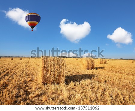 Stacks of harvested wheat beautifully and symmetrically stand in rows.  Red and blue balloon slowly floating over field after harvest