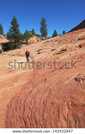 Woman photographer in search of interesting shots. Picturesque striped hill from sandstone in National park Zion in the USA