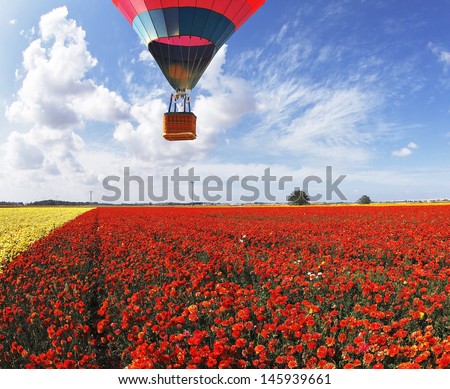 Balloon flight. Tourist, stunned the beauty of nature in scenic gondola of the balloon. Field of blooming buttercup