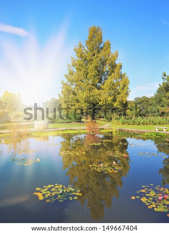 Shining sharp rays of the sun reflected in the smooth blue water of the pond