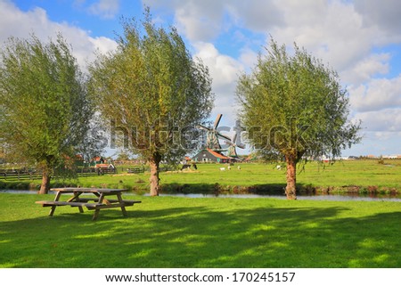 A wonderful lawn for a picnic. Green grass, river and trees. In the shade of a picnic table, and in the distance the windmills