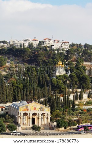 Mount of Olives in Jerusalem. The Church of all peoples, and centuries-old cypress road