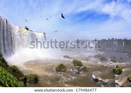 Waterfalls and birds in Brazil. Black Andean condors fly over the foamy waterfalls of Iguazu. The picture was taken Fisheye lens