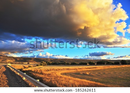 The enormous storm cloud and a flat plain covered in orange sunset.  In the steppe runs a gravel road. Storm over the Pampas