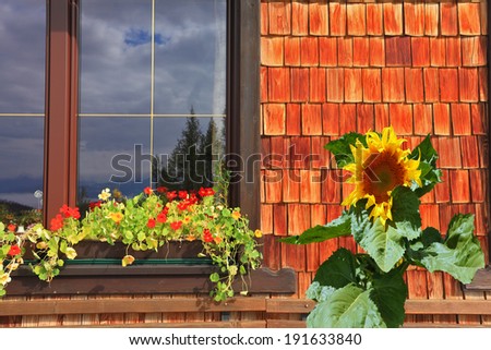 Dachstein huge tourist complex in Austrian Alps. Picturesque popular cafe window with flower pots and a large sunflower