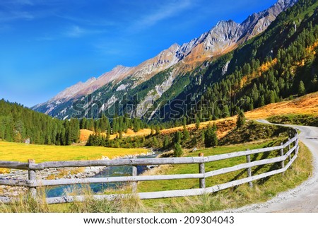 Picturesque mountain valley. Rough stream, dense coniferous forest and easy farmer fence