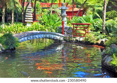 Lovely pond with goldfish. The banks of the pond fenced railing red Chinese-style. Across the pond spanned by graceful bridge. In the depths of the park is visible Chinese gazebo