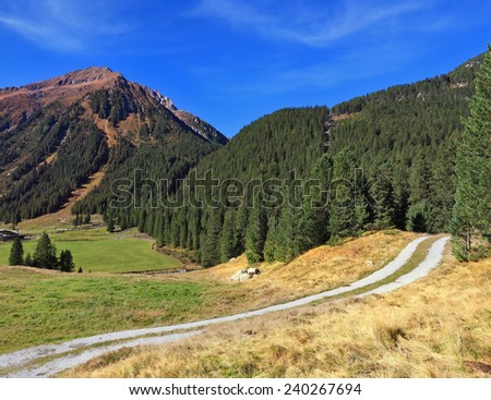 Valley in the mountains of Austria. The dirt path winds between yellowed fields. Sunny autumn day