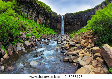Picturesque waterfall Svartifoss in Skaftafell National Park of Iceland. Black basalt columns frame the water jet