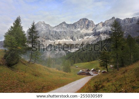 Fine autumn day in the Austrian Alps. The road in mountains among beginners to turn yellow pines and fir-trees