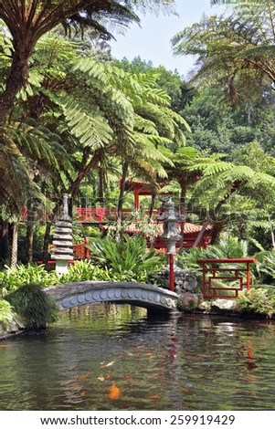The red Chinese-style pavilions and a wonderful bridge over a pond with goldfish. Lovely park on the island of Madeira -  Monte Palace Tropical Garden