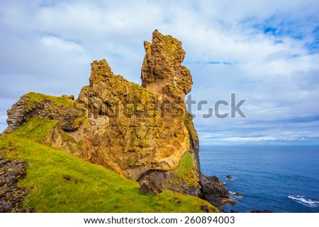 The ancient rocks covered with a green and yellow moss. Magnificent Iceland. Northern coast of Atlantic