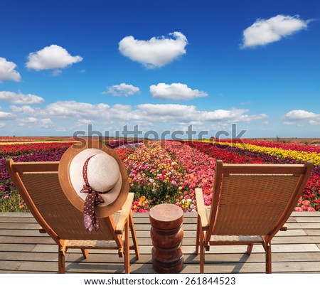 Two chaise lounges for rest stand on a scaffold at a picturesque flower field. On one chaise lounge the elegant straw hat hangs. Spring buttercups grow multi-colored strips