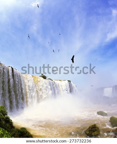 White whipped foam of water and a thin mist over the water.  Between a waterfall and a rainbow fly huge Andean condors. The most high-water waterfall in the world - Iguazu.