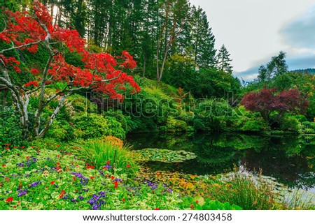 Delightful landscaped and floral park Butchart Gardens on Vancouver Island. In a small pond, overgrown with lilies, reflected trees and flowers