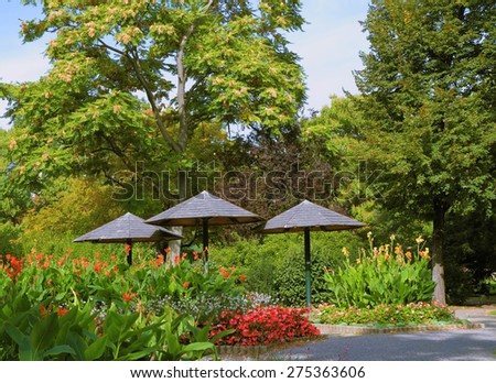 Cozy lawn in well-groomed park surrounded by flowers