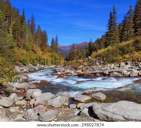 Pastoral in the Alpine mountain valley in Austria. Cascades of cold water at the source of the famous Krimml waterfalls. Rapid mountain stream of coniferous forests