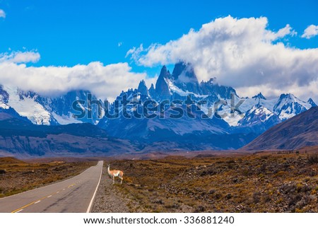 The highway crosses  Patagonia and leads to peaks of Mount Fitzroy. On the side of road is graceful guanaco