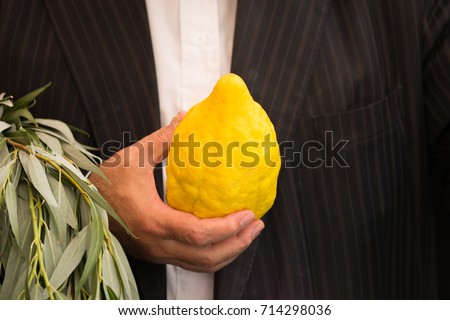 The etrog. Sale of ritual plants on the traditional pre-holiday market in the capital of Israel, Jerusalem. Ancient Jewish autumn holiday Sukkot