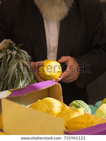 Sale of ritual plants on the traditional pre-holiday market in the capital of Israel, Jerusalem. The buyer chooses the citrus - etrog. Jewish autumn holiday Sukkot