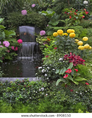 Gold small fishes and magnificent flower beds in a two-cascade falls in garden