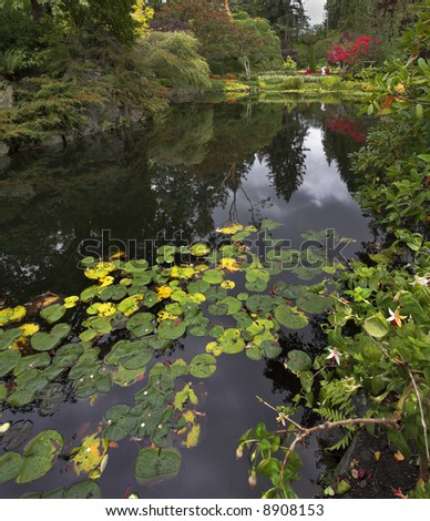 A pond and trees in well-known gardens Butchart Gardens on island Vancouver