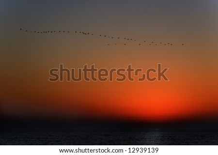 A sunset above Mediterranean sea and flight of birds of passage