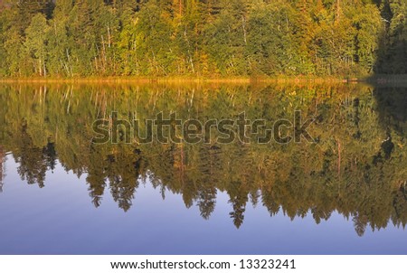 Mountain lake and a dense wood on coast