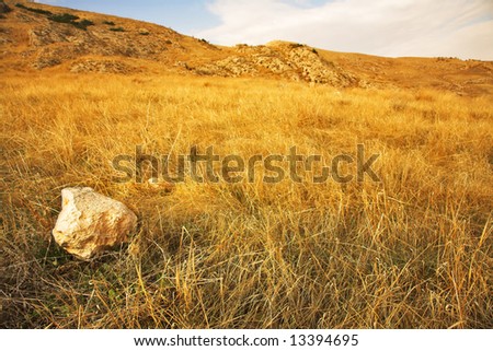 A yellow stone in a dry yellow grass