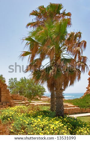 National park Caesarea on coast of Mediterranean sea in Israel people tourists people
