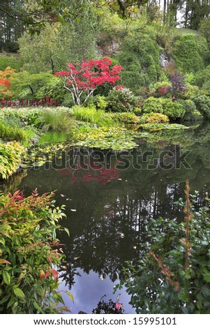 Lake and trees in well-known gardens \