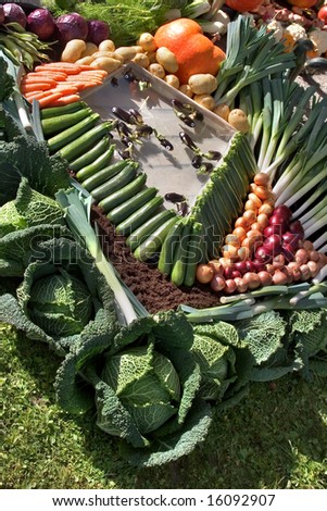 An exhibition of vegetables at rural fair in city Annecy