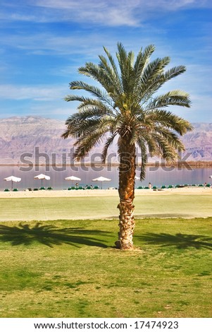 A medical beach on the Dead Sea in Israel