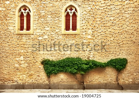 The wall of an ancient building decorated by Gothic windows and ornamental plants