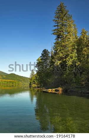 The lake surrounded by a dense wood