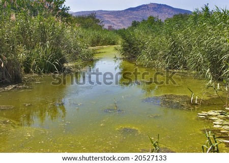 Stagnant water covered by ooze and mountains in the distance