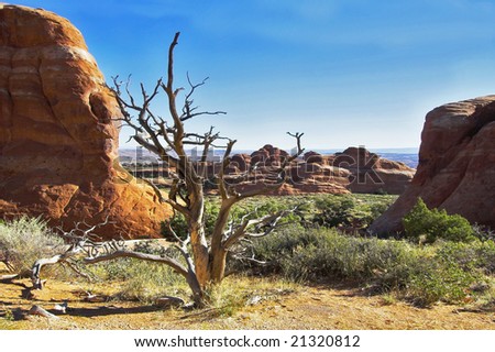 Natural hills of unusual forms from sandstone and dry trees in park \