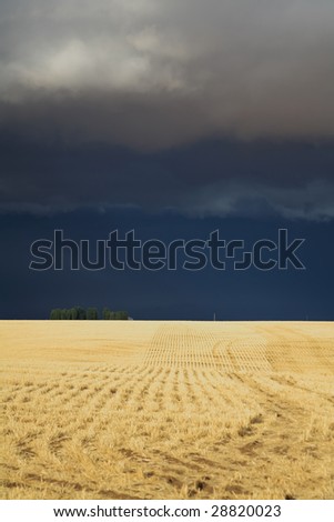 The thunder-storm in a countryside in state of Montana begins