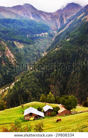 Deep gorge, rural small houses on the Alpine meadow and the grazed cow